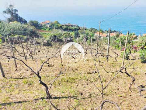 Terreno Rústico no Arco Pequeno