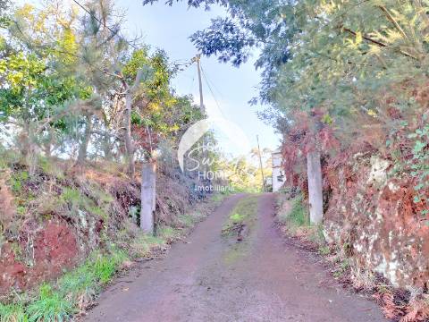 Quinta Agrícola, Terreno em São Jorge