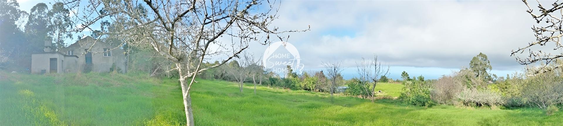 Quinta Agrícola, Terreno em São Jorge