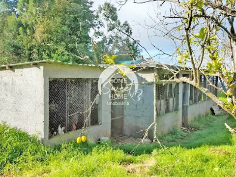 Quinta Agrícola, Terreno em São Jorge