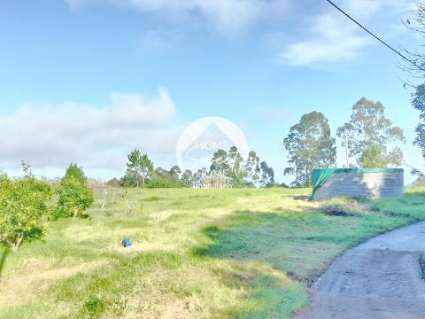 Quinta Agrícola, Terreno em São Jorge