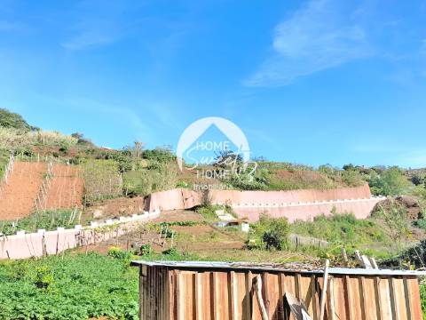 3 TERRENOS, POR UM PREÇO DE UM!