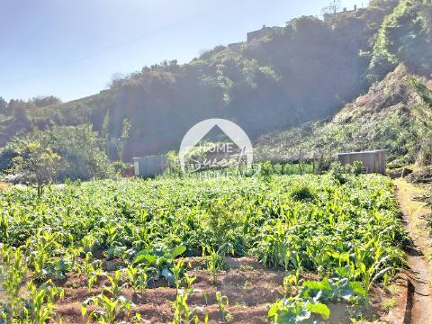 3 TERRENOS, POR UM PREÇO DE UM!