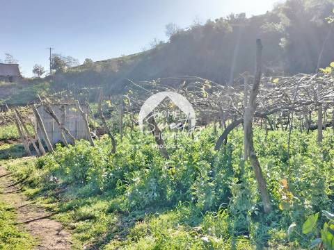 3 TERRENOS, POR UM PREÇO DE UM!