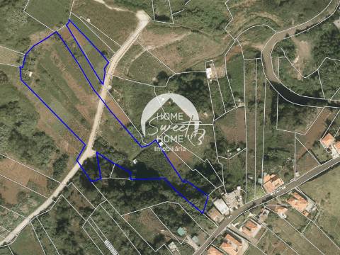 3 TERRENOS, POR UM PREÇO DE UM!