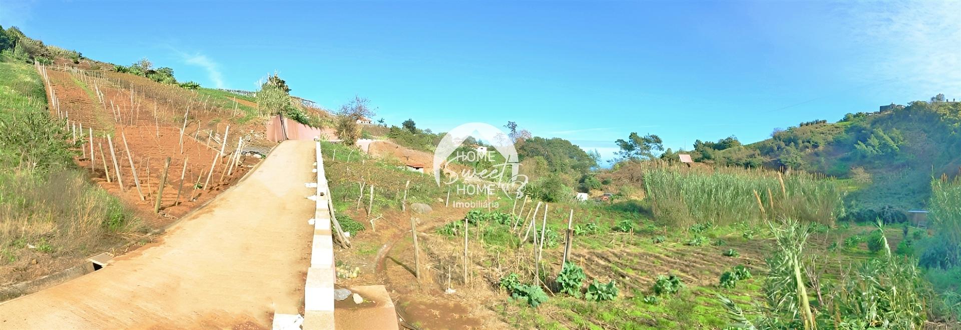 3 TERRENOS, POR UM PREÇO DE UM!