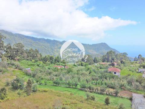Terreno Misto em São Roque do Faial, Santana