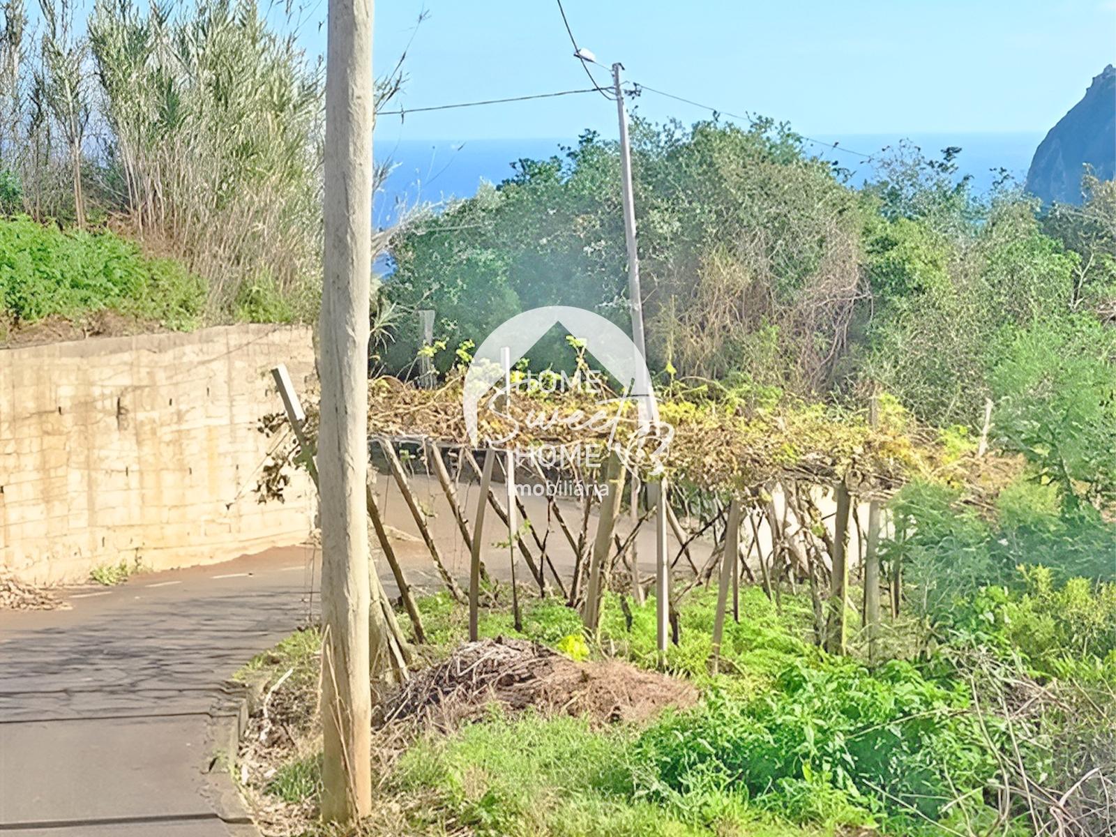 Terreno Rústico em Farrobo