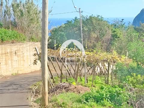 Terreno Rústico em Farrobo