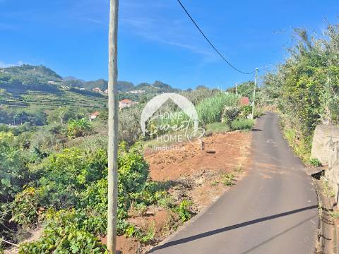 Terreno Rústico em Farrobo