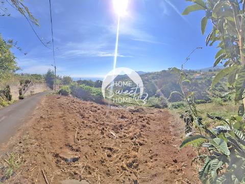 Terreno Rústico em Farrobo