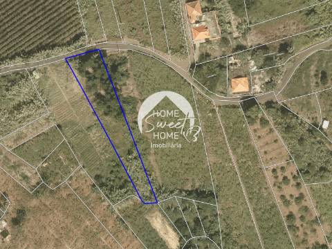 Terreno Rústico em Farrobo