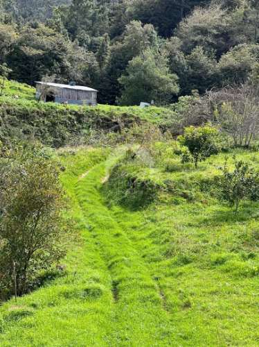 Moradia + 2 Palheiros com uma área total de 3070m2