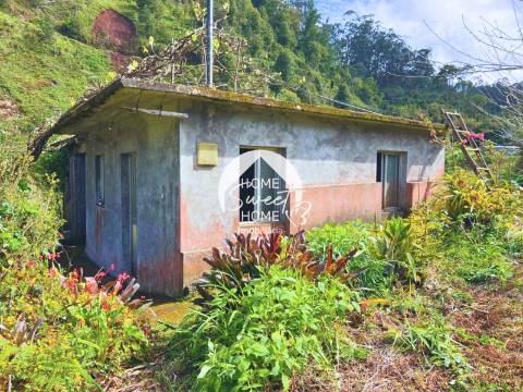 Moradia + 2 Palheiros com uma área total de 3070m2