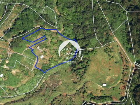 Moradia + 2 Palheiros com uma área total de 3070m2