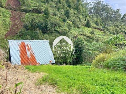 Moradia + 2 Palheiros com uma área total de 3070m2