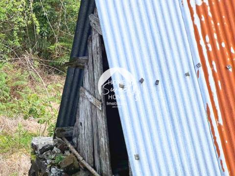 Moradia + 2 Palheiros com uma área total de 3070m2