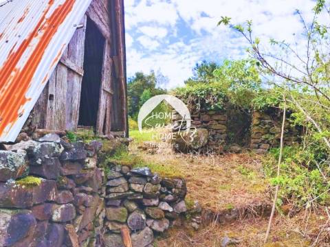 Moradia + 2 Palheiros com uma área total de 3070m2