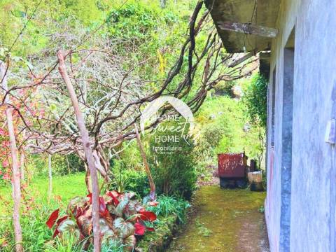 Moradia + 2 Palheiros com uma área total de 3070m2