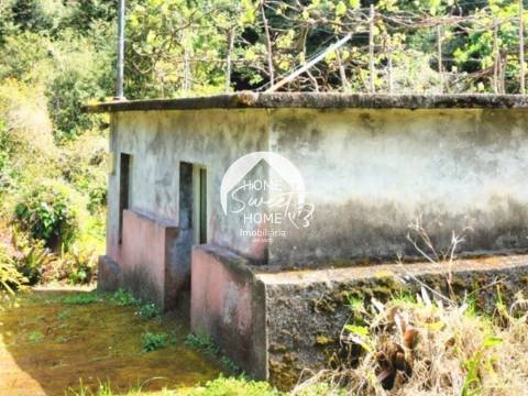 Moradia + 2 Palheiros com uma área total de 3070m2