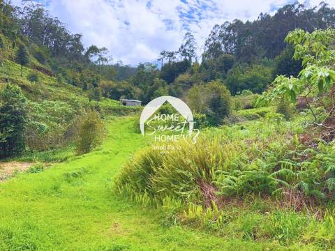 Moradia + 2 Palheiros com uma área total de 3070m2