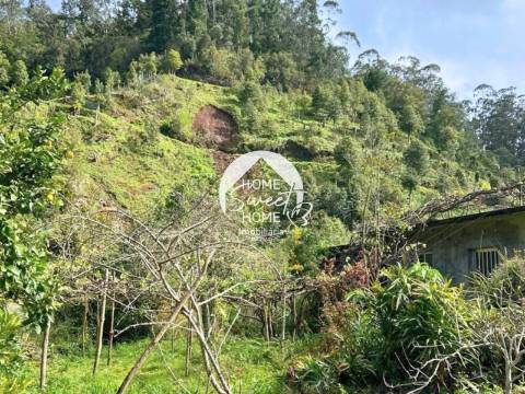 Moradia + 2 Palheiros com uma área total de 3070m2