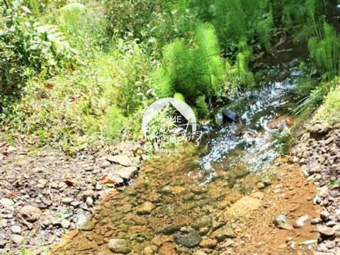 Moradia + 2 Palheiros com uma área total de 3070m2