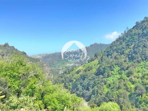 Terreno Rústico para construir, junto à Laurisilva