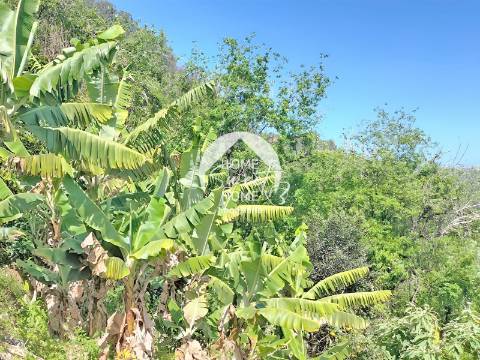 Terreno Rústico para construir, junto à Laurisilva