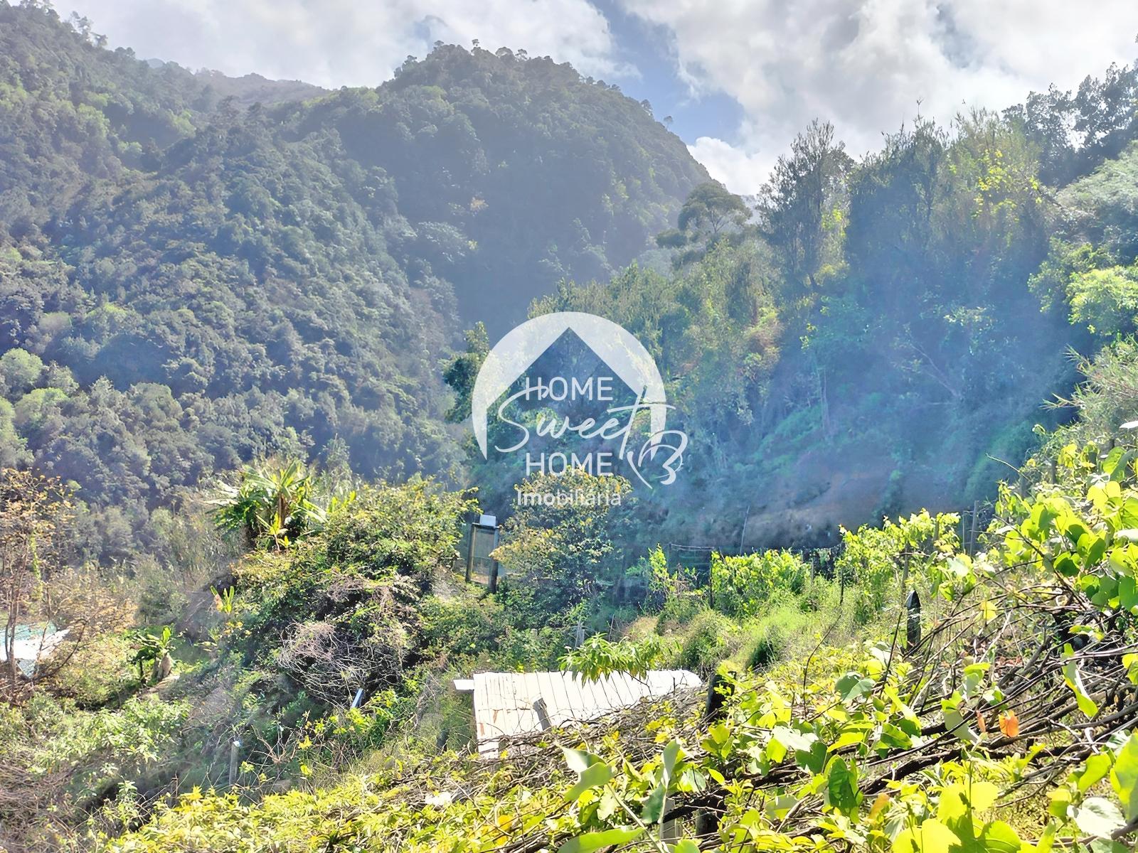 Terreno Rústico para construir, junto à Laurisilva