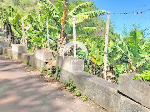 Terreno Rústico para construir, junto à Laurisilva