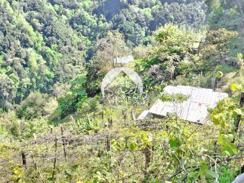 Terreno Rústico para construir, junto à Laurisilva
