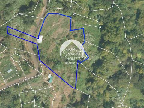 Terreno Rústico para construir, junto à Laurisilva