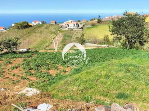 Propriedade Junto da Quinta do Furão