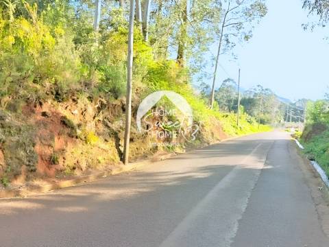 Propriedade com 2880m2 para investimento