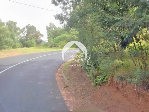 Terreno Rústico junto ao Cabo Girão, Quinta Grande