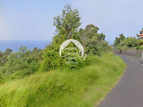 Terreno Rústico junto ao Cabo Girão, Quinta Grande