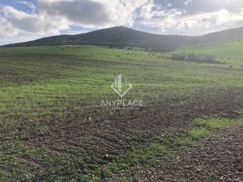 Terreno com enorme potencial com 58 ha