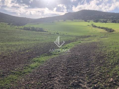 Terreno com enorme potencial com 58 ha