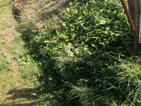 Terreno com enorme potencial com 58 ha