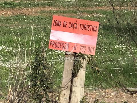 Terreno com enorme potencial com 58 ha