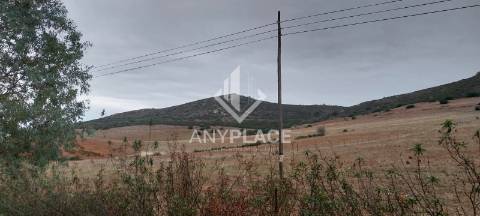 Terreno com enorme potencial com 58 ha