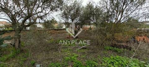 Terreno em Aldeia Típica Alentejana.