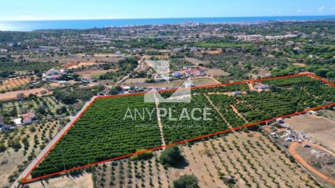 Espetacular Quinta no Algarve situada no Triângulo Dourado.