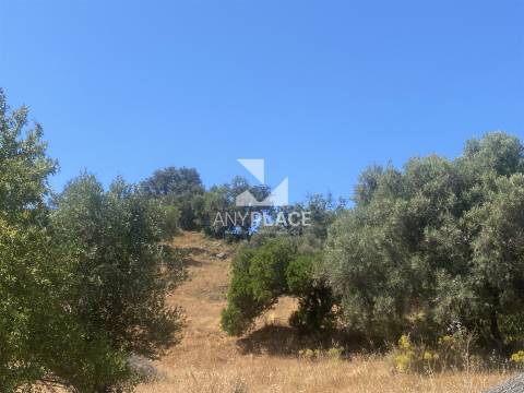 Quinta para construção de moradia de Luxo com projecto aprovado.