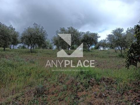 Terreno Rústico muito bem localizado e com boas acessibilidades.