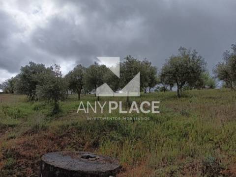 Terreno Rústico muito bem localizado e com boas acessibilidades.