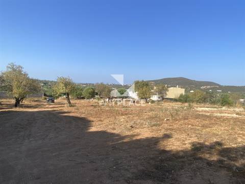 Excelente quinta com moradia para renovar situada em zona tranquila e valorizada.