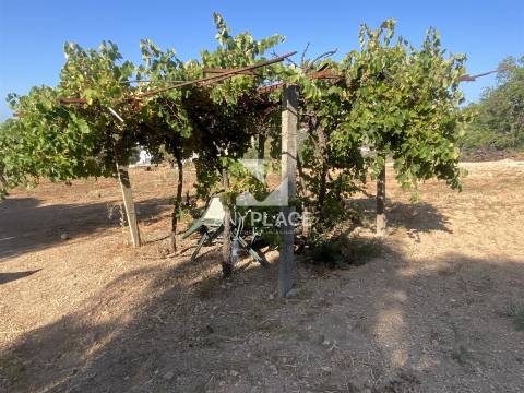 Excelente quinta com moradia para renovar situada em zona tranquila e valorizada.