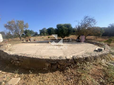 Excelente quinta com moradia para renovar situada em zona tranquila e valorizada.